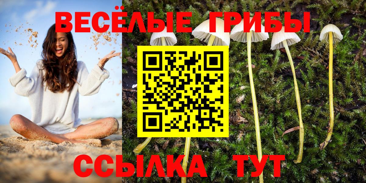 Галлюциногенные грибы GOLDEN TEACHER Избербаш
