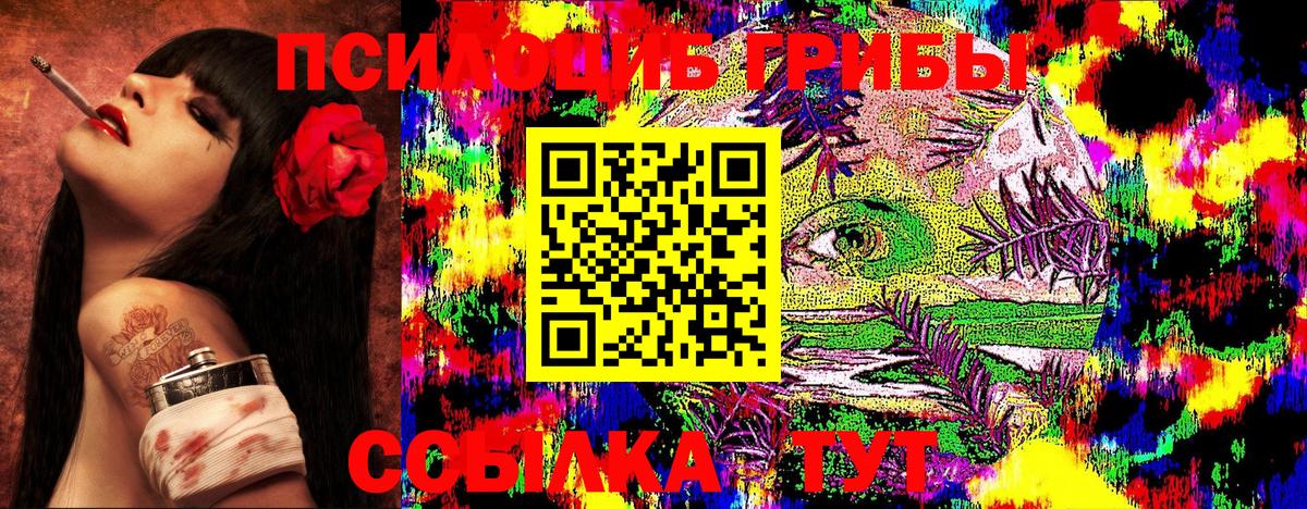 Псилоцибиновые грибы MAGIC MUSHROOMS  Вход с VPN  Избербаш 